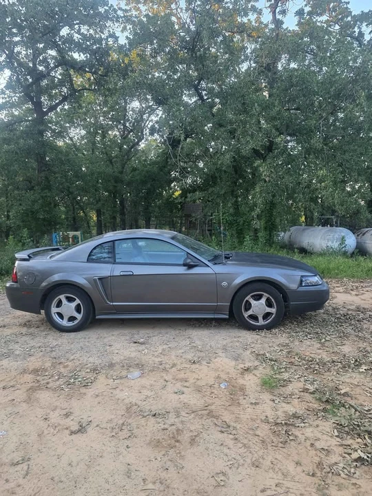 2004 Ford SN95 Mustang - Image 2 of 12