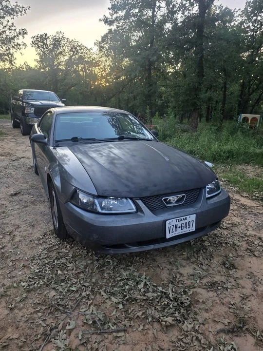 2004 Ford SN95 Mustang - Image 3 of 12