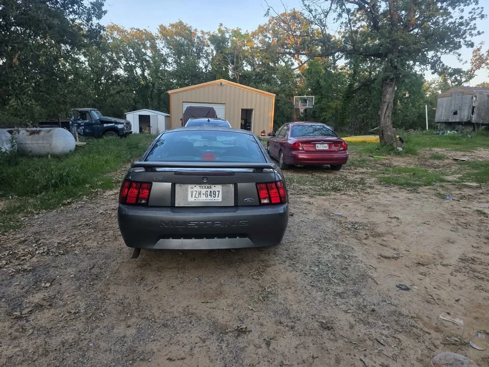 2004 Ford SN95 Mustang - Image 10 of 12