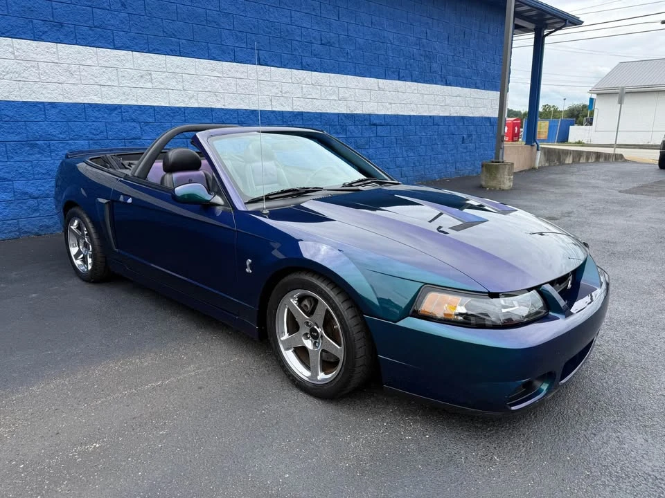 2004 Ford SN95 Mustang Cobra - Image 3 of 20