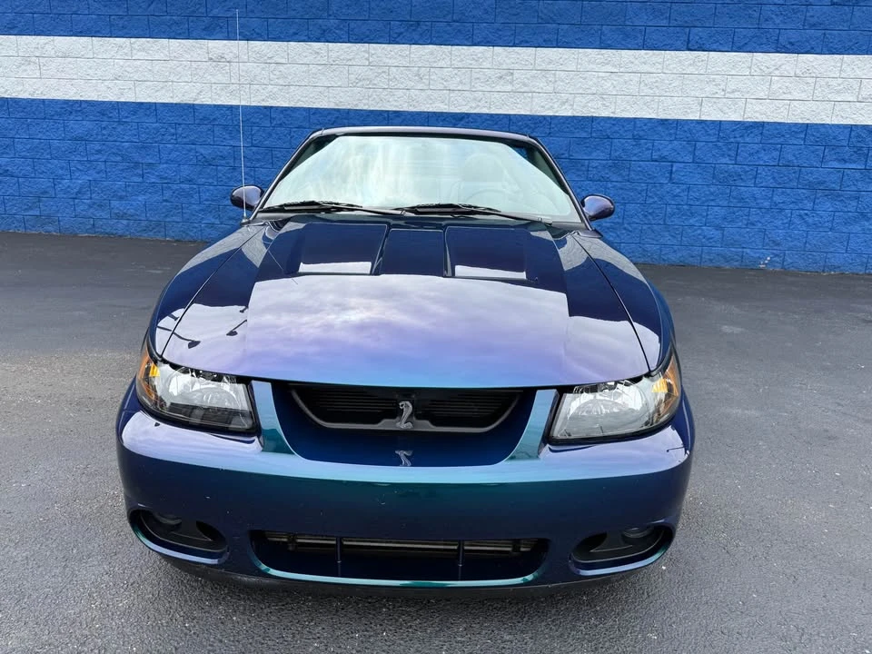 2004 Ford SN95 Mustang Cobra - Image 4 of 20