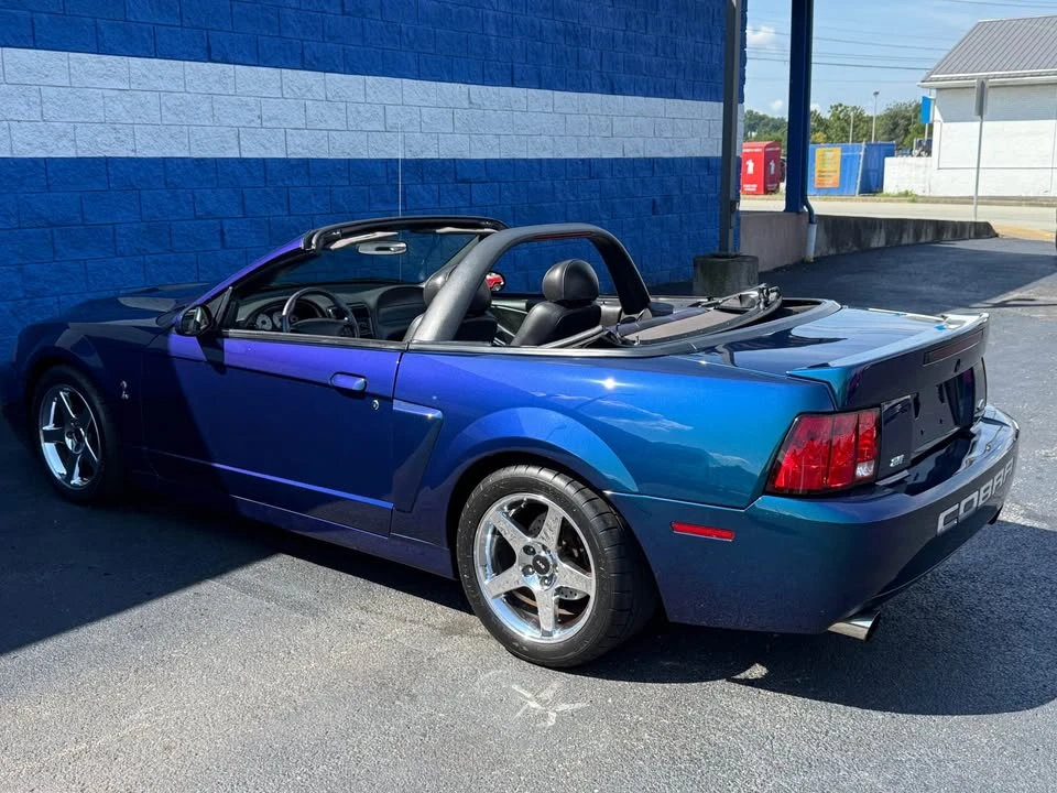 2004 Ford SN95 Mustang Cobra - Image 14 of 20