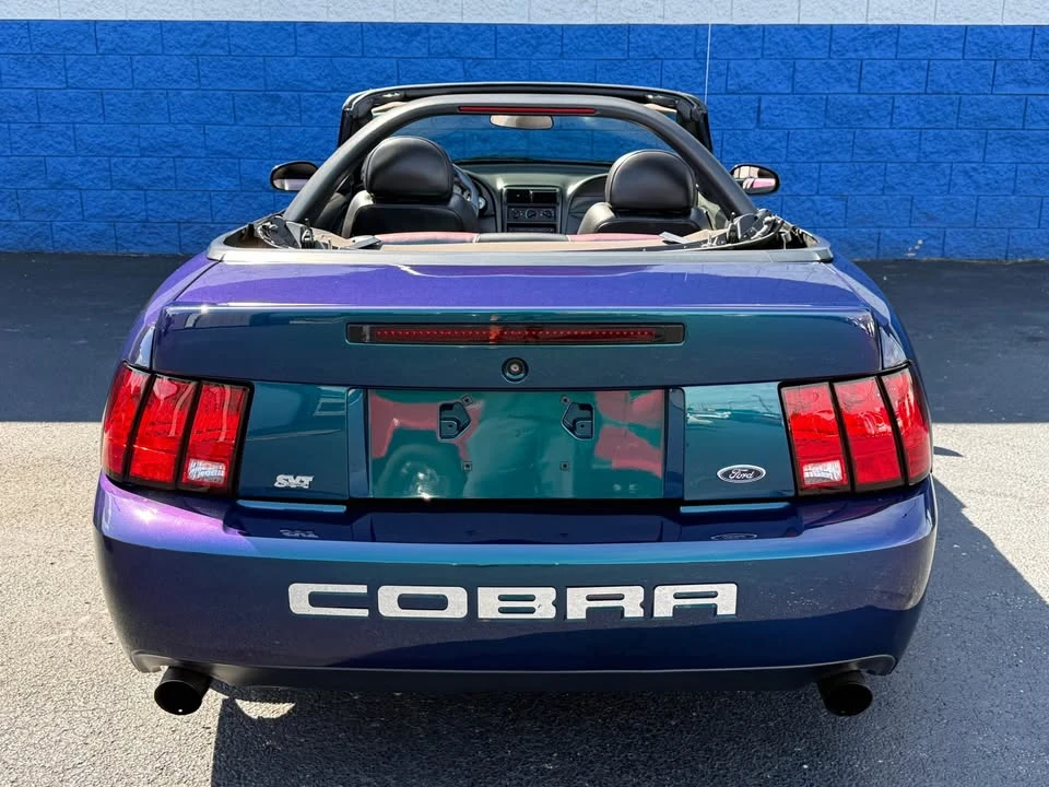 2004 Ford SN95 Mustang Cobra - Image 15 of 20