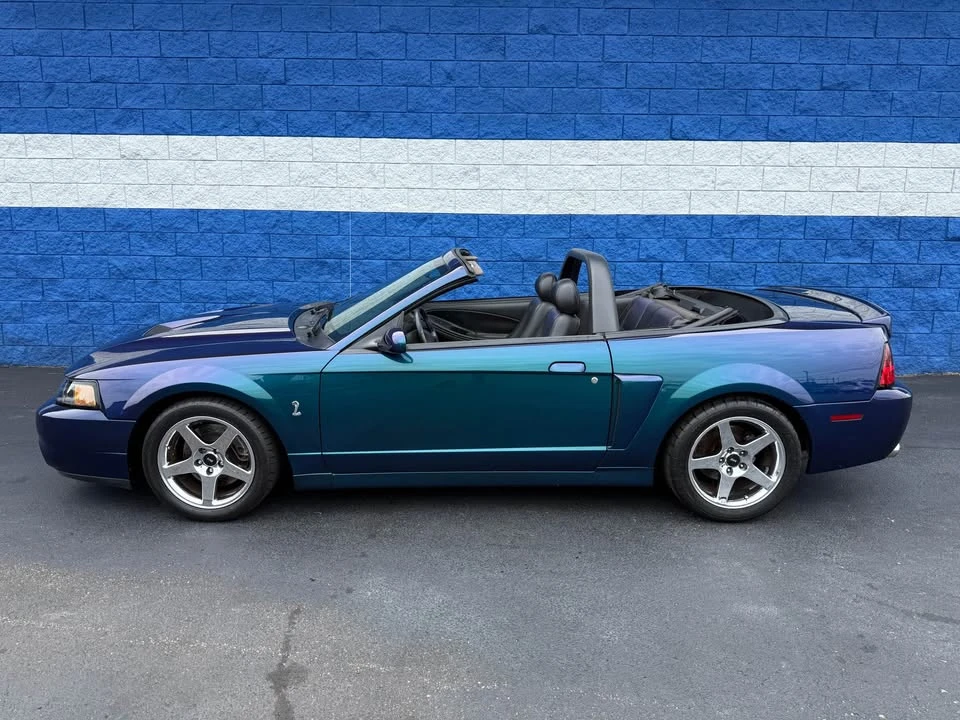 2004 Ford SN95 Mustang Cobra - Image 11 of 20