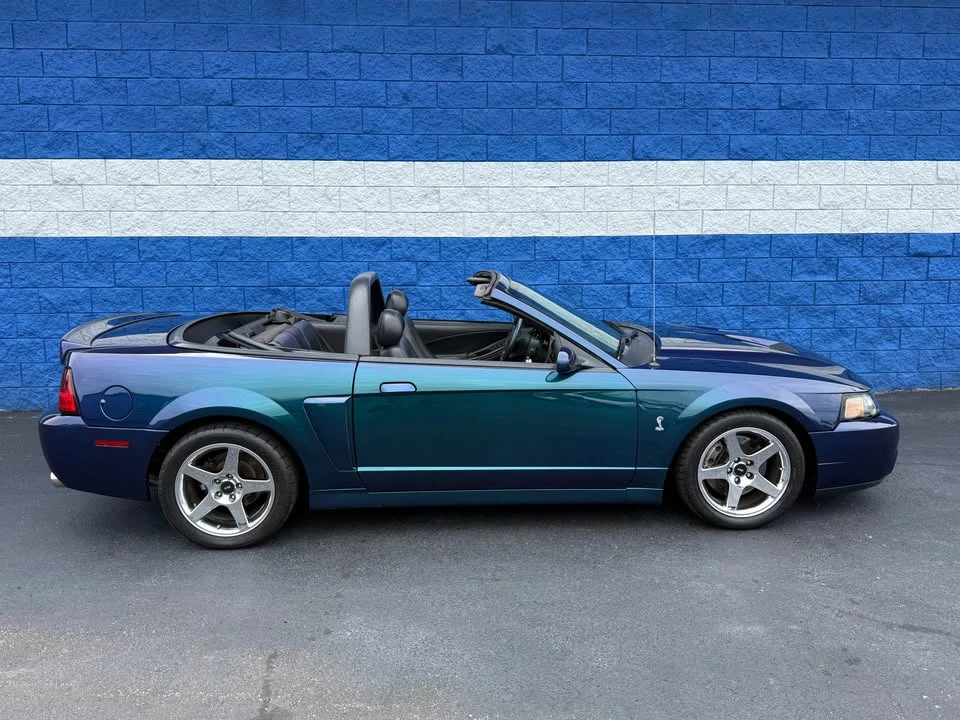 2004 Ford SN95 Mustang Cobra - Image 2 of 20