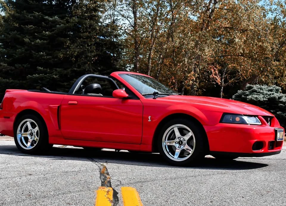 2004 Ford SN95 Mustang Cobra - Image 10 of 18
