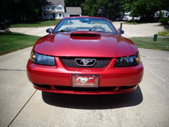 2004 Ford SN95 Mustang - Image 2 of 10