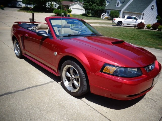 2004 Ford SN95 Mustang - Image 5 of 10