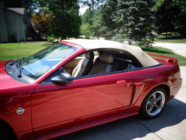 2004 Ford SN95 Mustang - Image 9 of 10