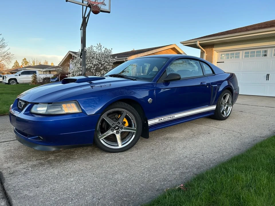 2004 Ford SN95 Mustang - Image 12 of 13