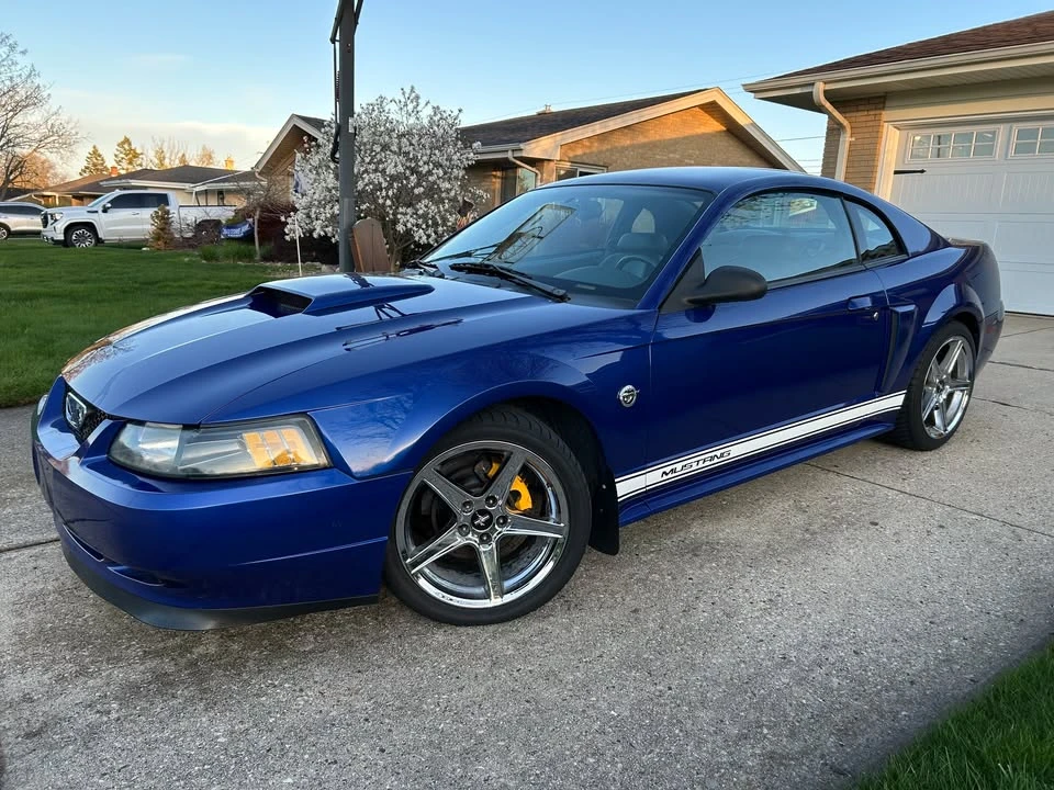 2004 Ford SN95 Mustang - Image 10 of 13