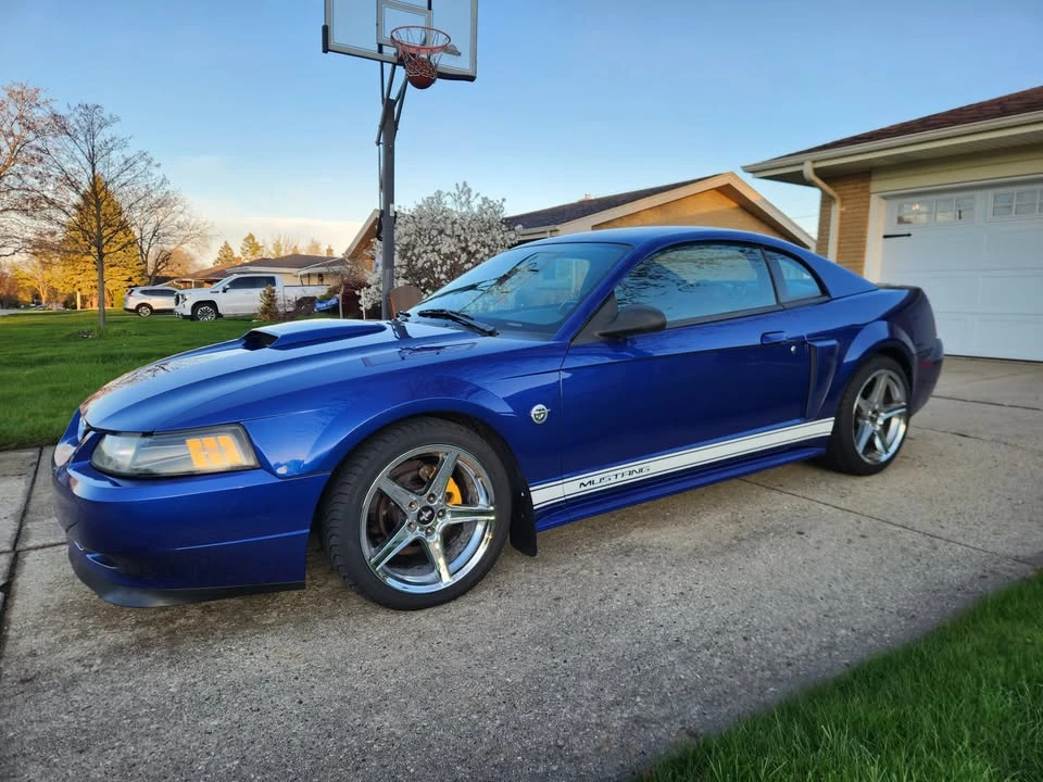 2004 Ford SN95 Mustang - Image 2 of 13