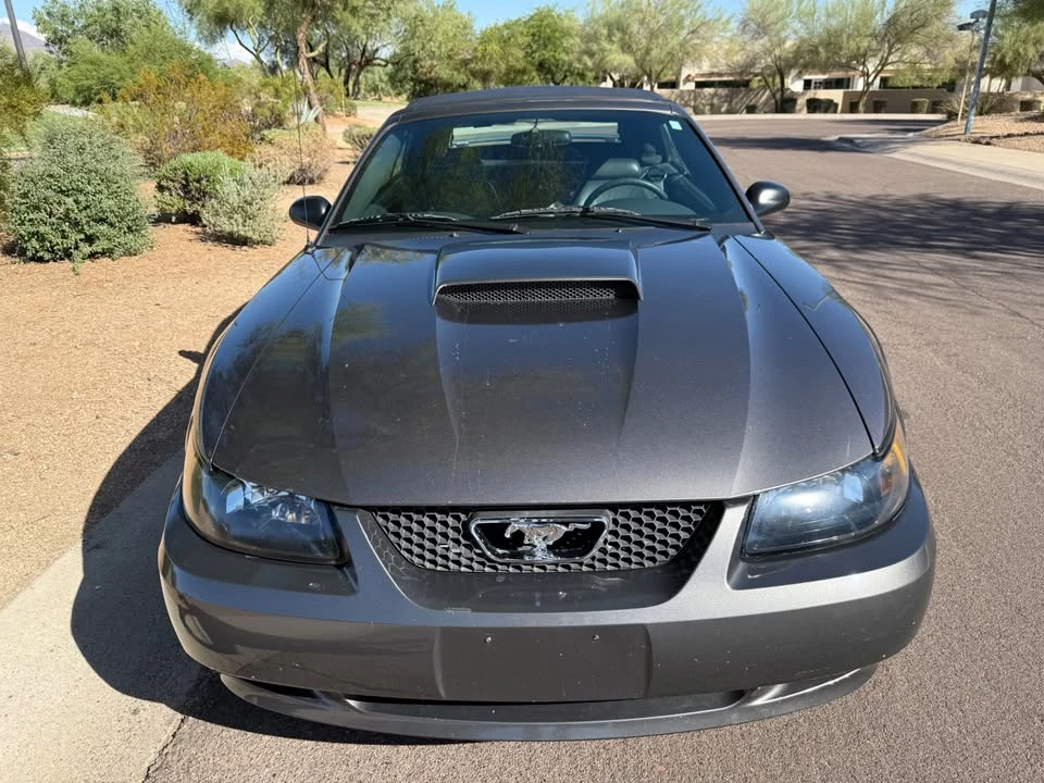 2004 Ford SN95 Mustang - Image 10 of 20
