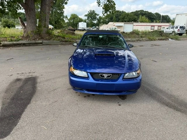 2004 Ford SN95 Mustang - Image 2 of 4