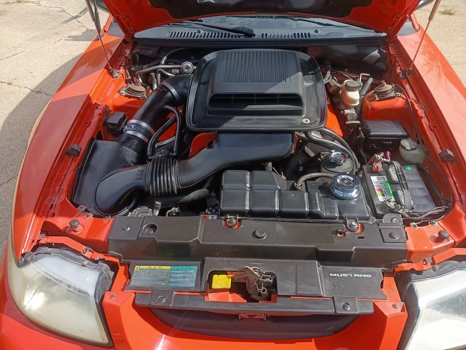 2004 Ford SN95 Mustang - Image 5 of 9