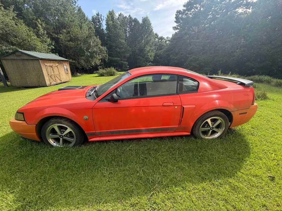 2004 Ford SN95 Mustang - Image 4 of 6