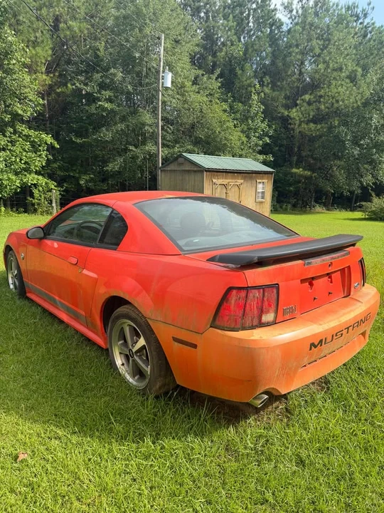 2004 Ford SN95 Mustang - Image 2 of 6