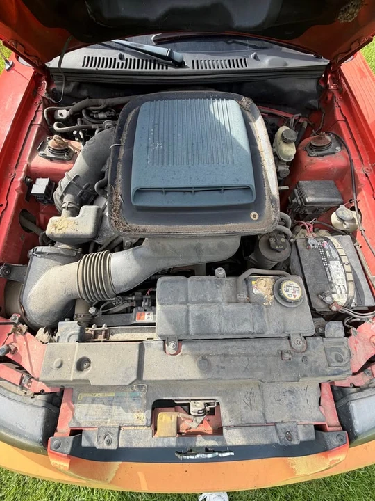 2004 Ford SN95 Mustang - Image 5 of 6