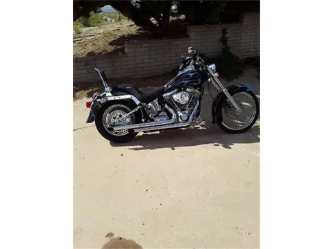 2004 Harley-Davidson Custom Softail