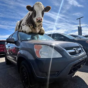 2004 Honda CR-V