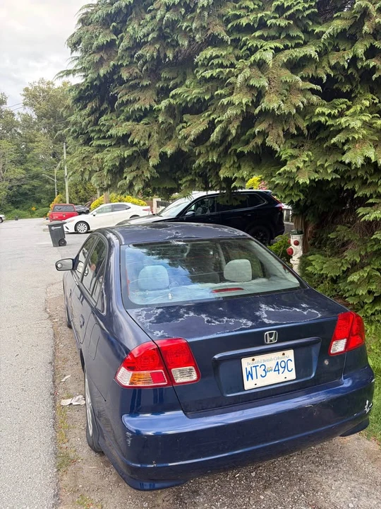 2004 Honda Civic 7th Gen - Image 2 of 5