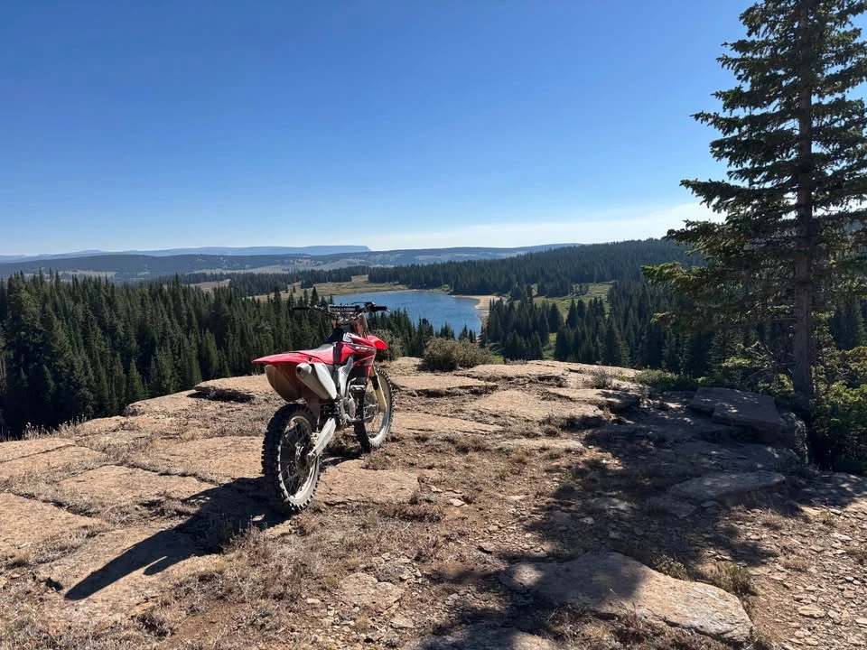 2004 Honda CRF - Image 2 of 5