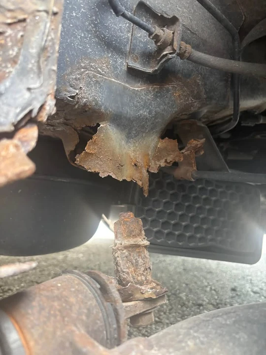 2004 Honda Element - Image 6 of 6