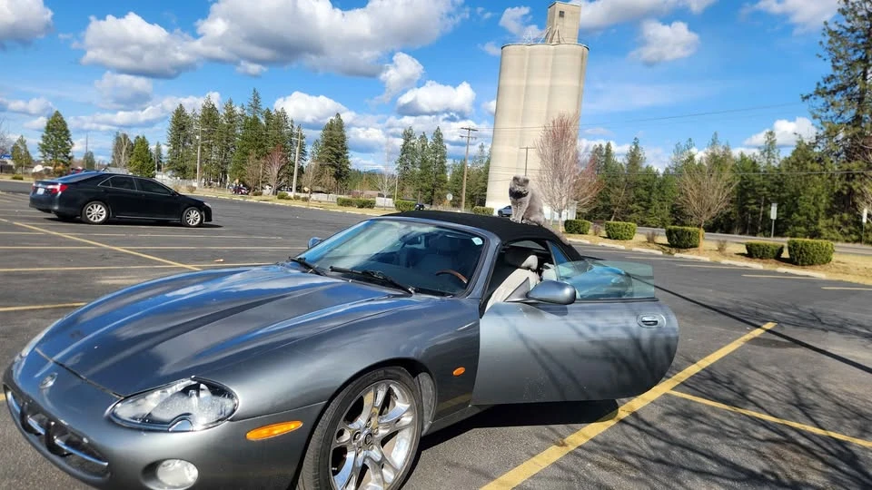 2004 Jaguar X100 XK8 - Image 7 of 12