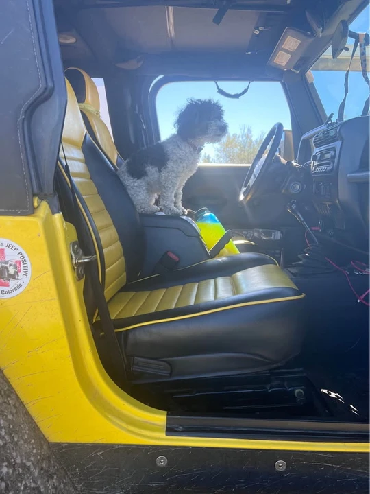 2004 Jeep TJ Wrangler - Image 6 of 8