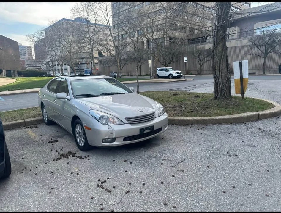2004 Lexus ES 4th Gen - Image 4 of 7