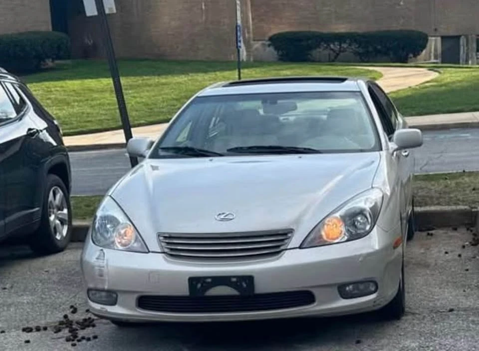 2004 Lexus ES 4th Gen - Image 7 of 7