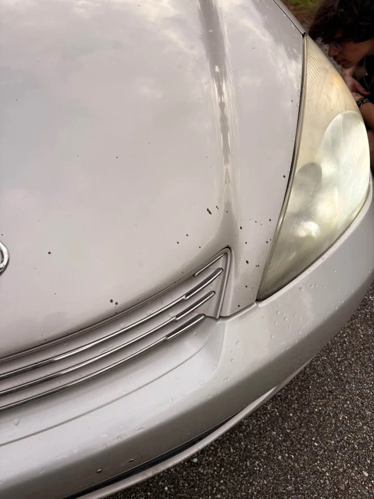 2004 Lexus ES 4th Gen - Image 8 of 12