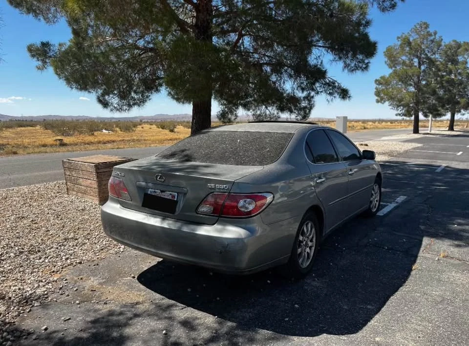 2004 Lexus ES 4th Gen - Image 10 of 11