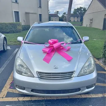 2004 Lexus ES 330 Sedan 4D