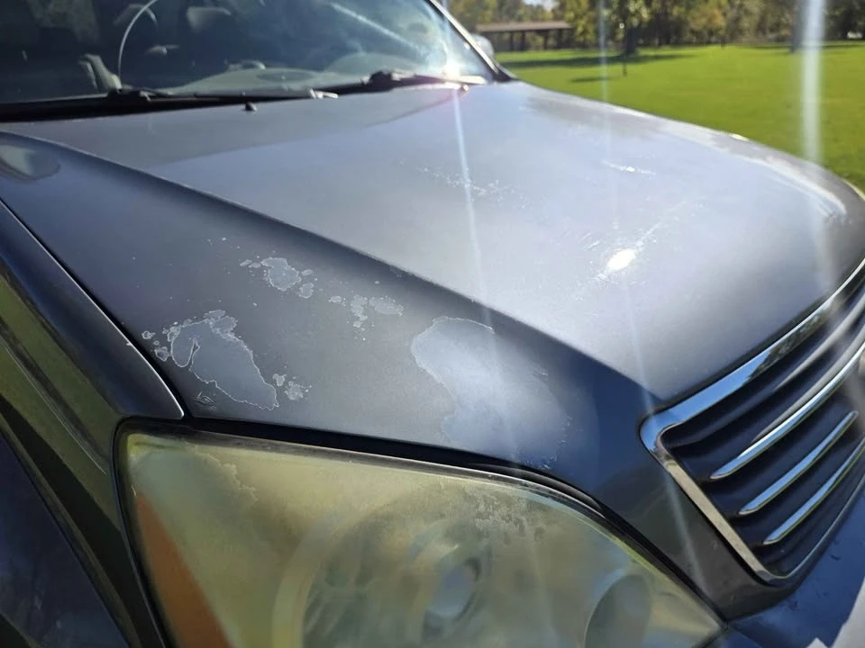 2004 Lexus GX 1st Gen - Image 8 of 20