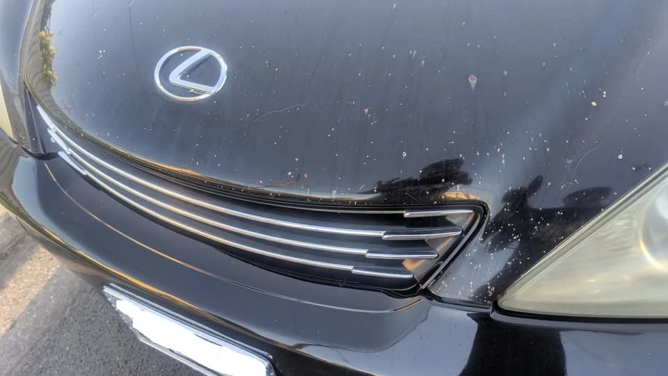 2004 Lexus ES 4th Gen - Image 2 of 18