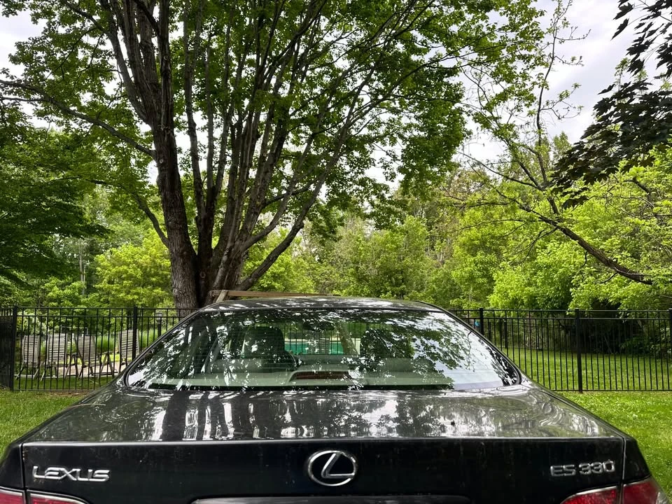 2004 Lexus ES 4th Gen - Image 3 of 6