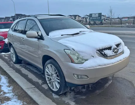 2004 Lexus RX