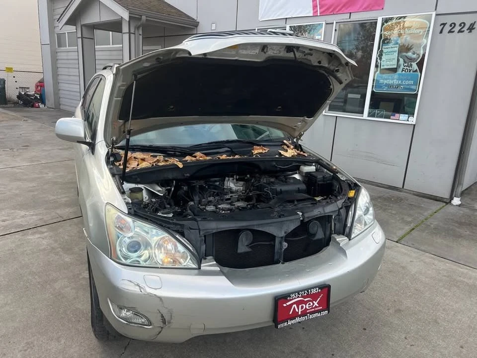 2004 Lexus RX 2nd Gen - Image 14 of 15