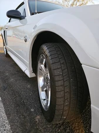 2004 Ford SN95 Mustang - Image 13 of 13