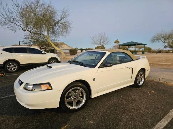 2004 Ford SN95 Mustang - Image 12 of 13