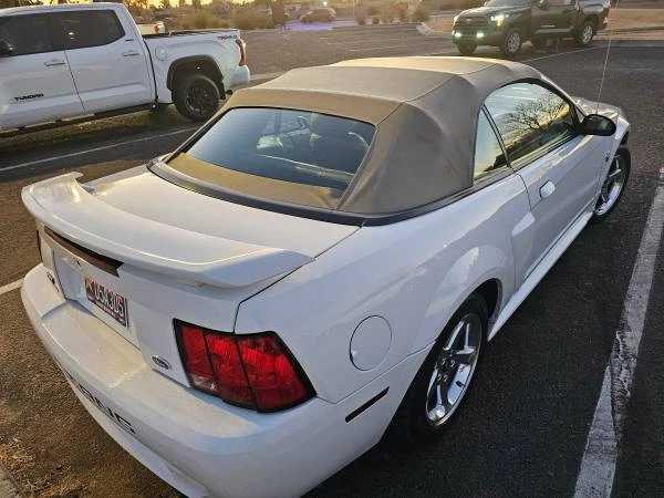 2004 Ford SN95 Mustang - Image 2 of 13