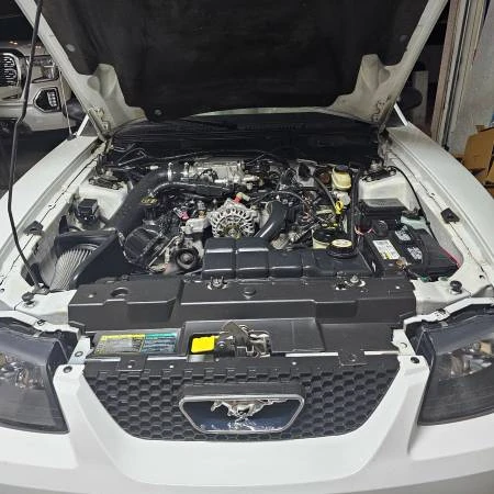 2004 Ford SN95 Mustang - Image 4 of 13