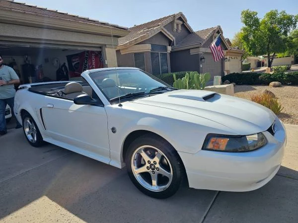 2004 Ford SN95 Mustang - Image 9 of 13