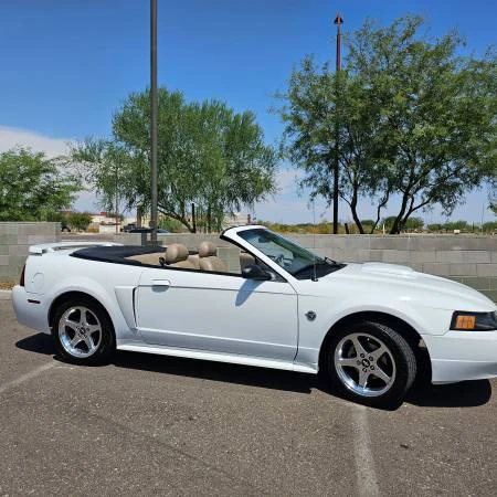 2004 Ford SN95 Mustang - Image 11 of 13