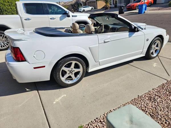 2004 Ford SN95 Mustang - Image 10 of 13