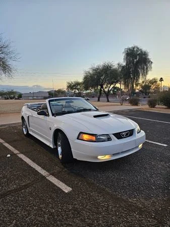 2004 Ford SN95 Mustang - Image 5 of 13