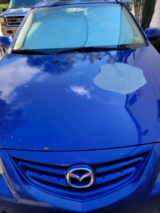 2004 Mazda Mazda 6 1st Gen - Image 9 of 10