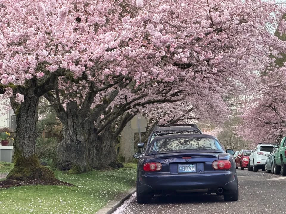 2004 Mazda NB MX-5 Miata - Image 2 of 21