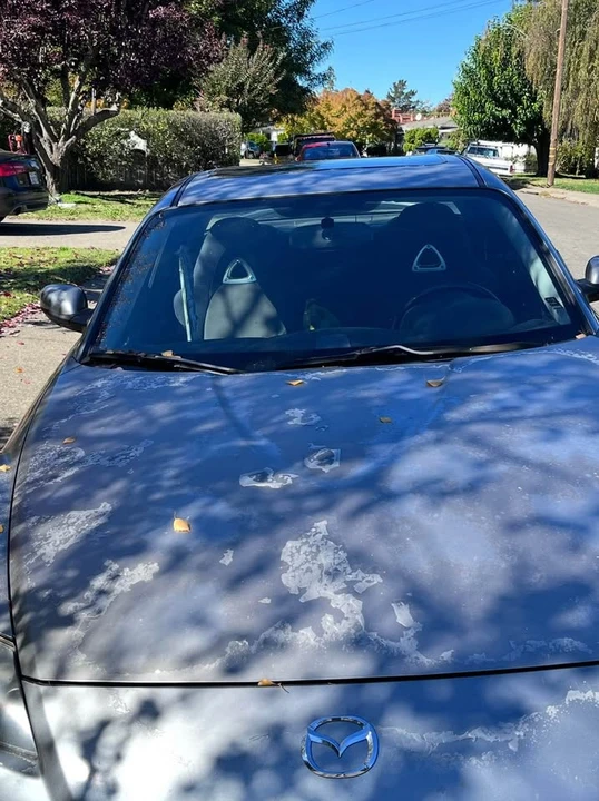 2004 Mazda RX-8 1st Gen - Image 2 of 4